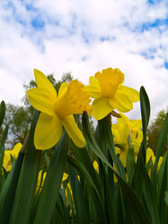 Similar image 640621