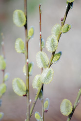 Similar image 640640