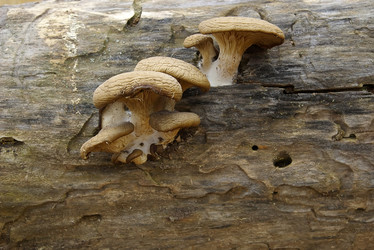 Similar image 640653