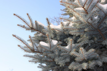 Similar image 640659