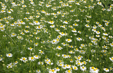 Similar image 640660