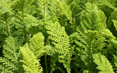 Similar image 640663