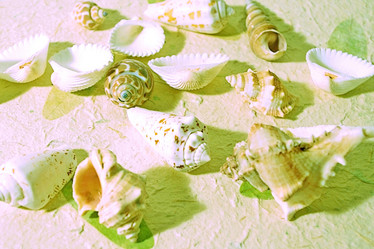 Similar image 640665