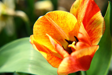 Similar image 640706