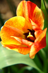 Similar image 640707