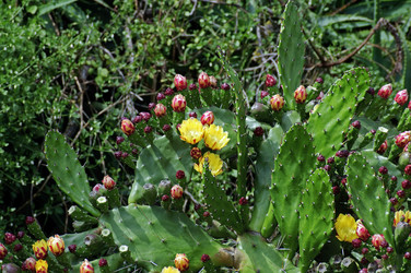 Similar image 640708