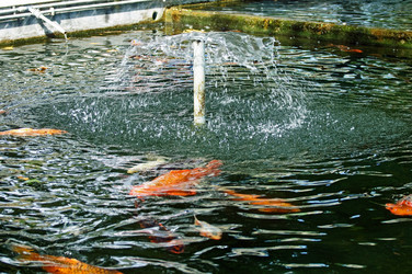 Similar image 640713