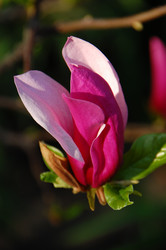 Similar image 640738