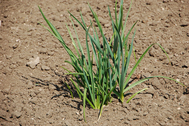 Similar image 640756