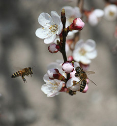 Similar image 640760