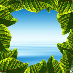 Similar image 640797