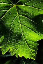 Similar image 640812