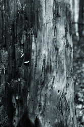 Similar image 640831