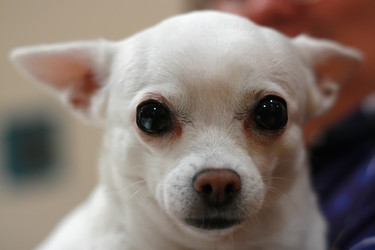 Similar image 640834