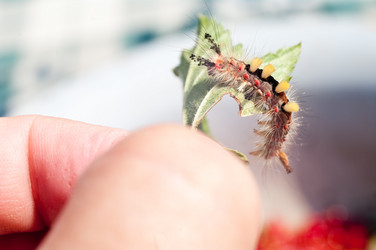 Similar image 640844