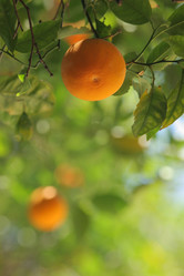 Similar image 640847