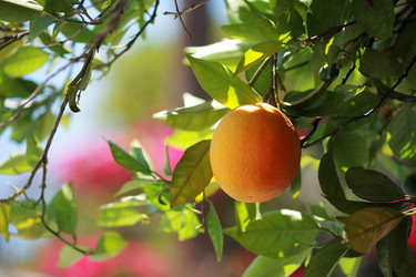 Similar image 640851