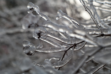 Similar image 640856