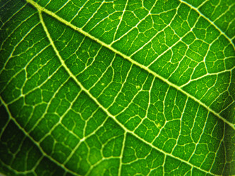 Similar image 640858