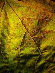 Similar image 640863