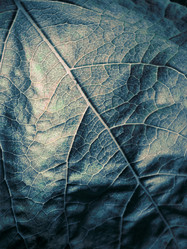 Similar image 640869