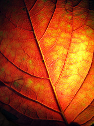 Similar image 640872