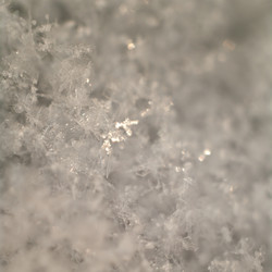 Similar image 640873