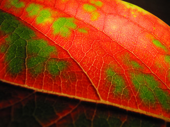 Similar image 640877