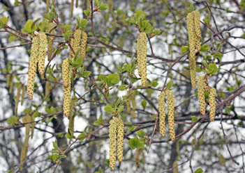 Similar image 640879