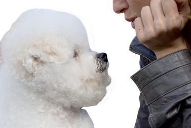 Similar image 640882