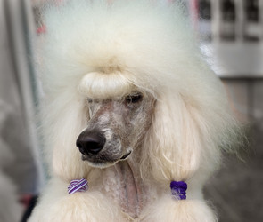 Similar image 640883