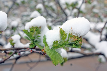 Similar image 640886