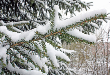 Similar image 640890