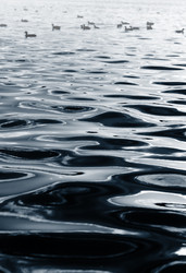 Similar image 640891