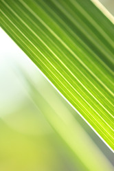 Similar image 640892