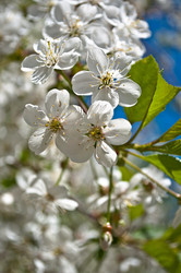 Similar image 640896