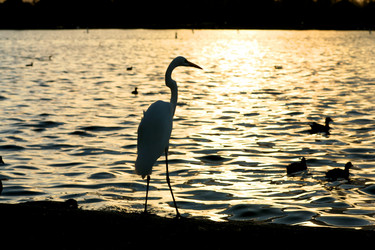 Similar image 640895