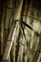 Similar image 640899