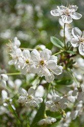 Similar image 640902