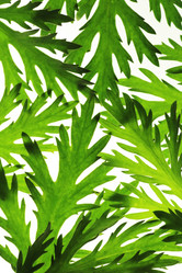 Similar image 640913