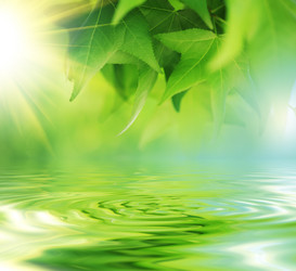 Similar image 640918