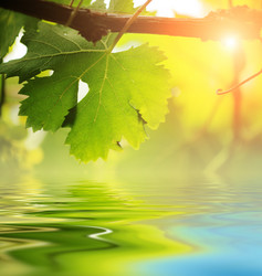 Similar image 640925