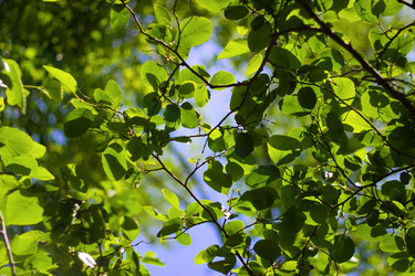 Similar image 640929