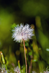 Similar image 640934