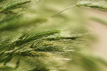 Similar image 640942