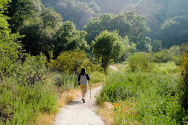 Similar image 640947