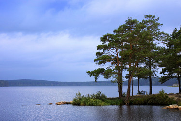 Similar image 640955