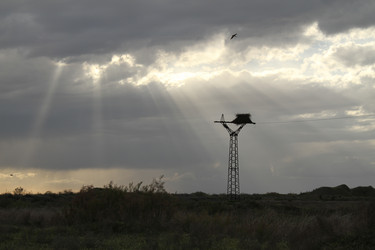 Similar image 640986