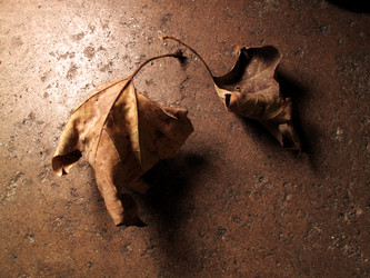 Similar image 641012