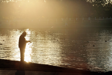 Similar image 641046